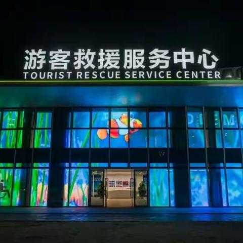 西涌夜景与沙雕