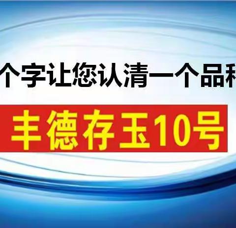 9个字让你您认清一个品种