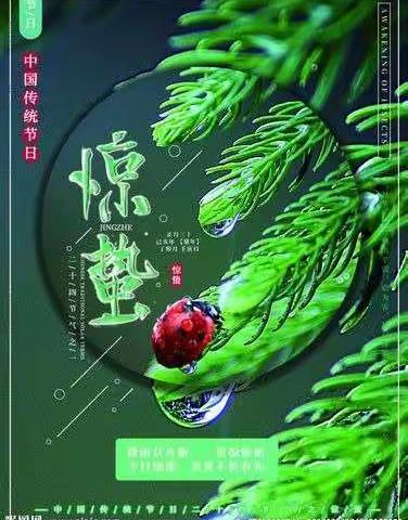 水沐清华幼儿园中三班小朋友们的《惊蛰》主题活动