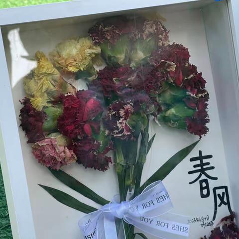 【”双减”在行动】植物标本在制作，寄情画作留风华——四年级特色实践作业
