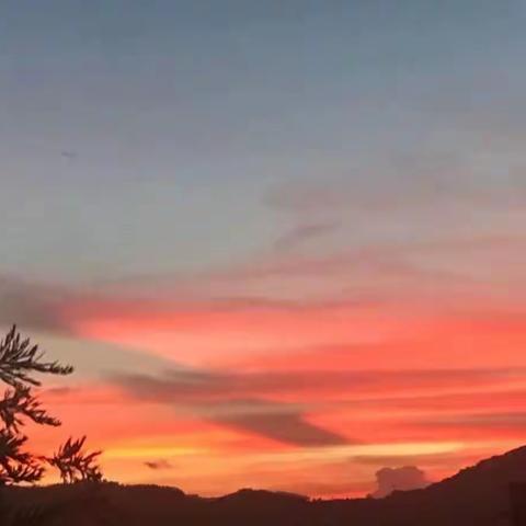 我看           图文:星辰余光