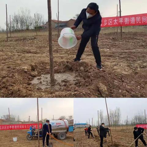 太平街道组织开展义务植树活动