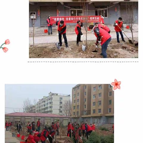 赴春邀约之南关街道植树活动