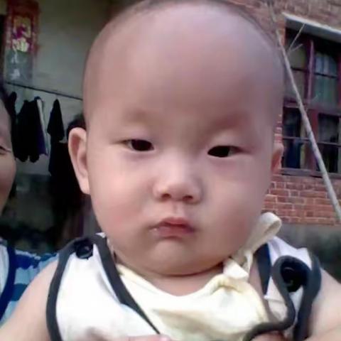 仔仔的成长日记