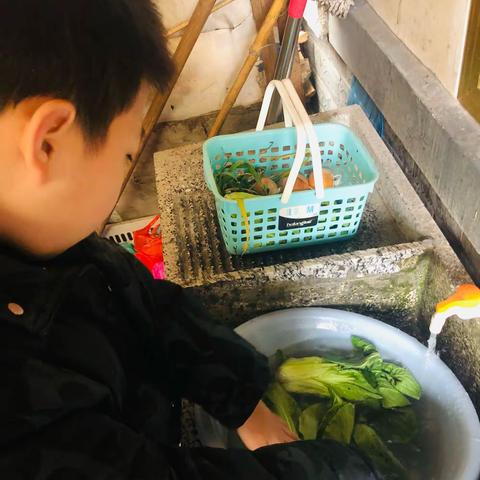 天宁小学306班之张辰的寒假生活