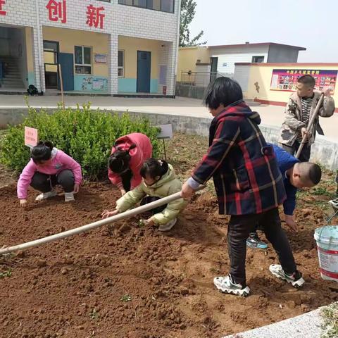 双减”之下“立德树人 实践育人”——秘家岸小学之劳动教育篇