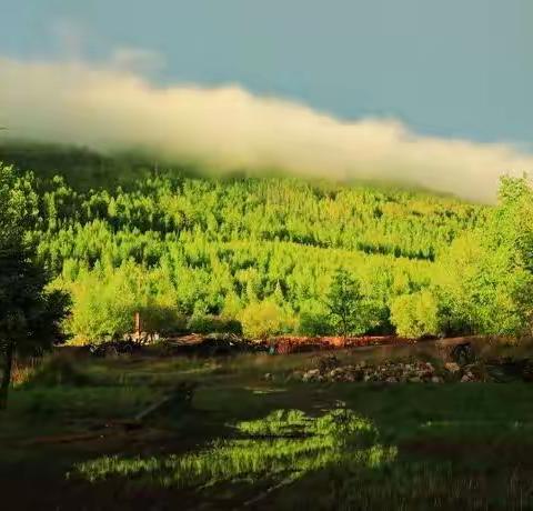 庐山烟雨浙江潮——关于茶