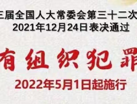 和龙抗日英烈红军小学：学习《反有组织犯罪法》，构筑校园安全新长城。