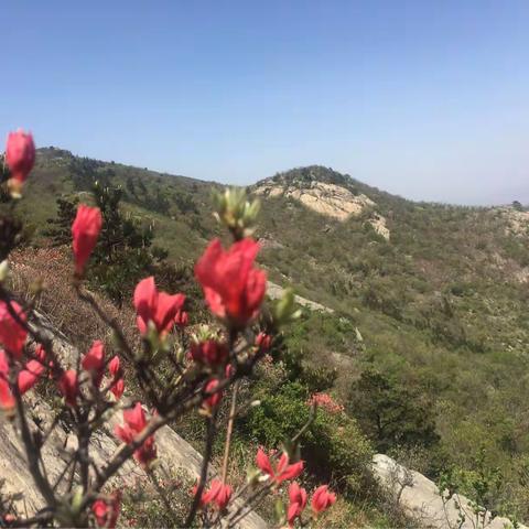 【运动之魅】“醉美九真山”，相遇“美人谷”一一孝昌·双峰山（2018.4.7）