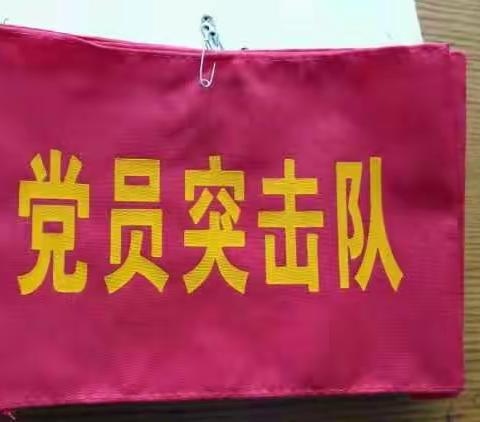 新区公司“两学一做”见行动 防洪排渍当先锋