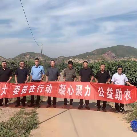 “喜迎二十大，委员在行动”——工商界别政协委员组织公益助农活动