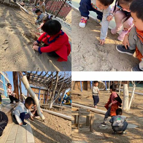 《备耕季🌱之我的小种子》小二班主题活动