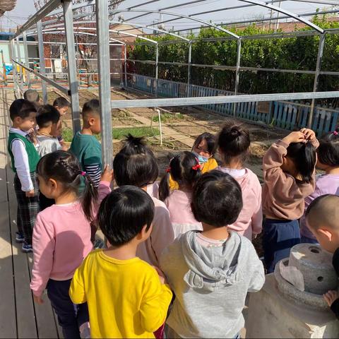 《遇见小“莓”🍓好》 小二班四月主题活动