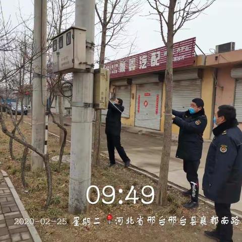 紧张有序投入绿化监察工作