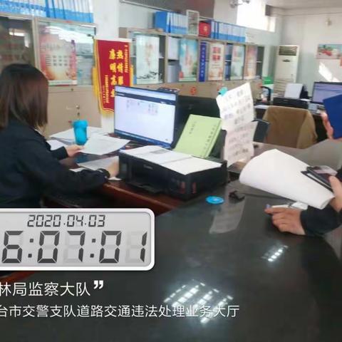 干劲十足，为园林绿化保驾护航