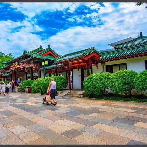 山东之旅（济南篇）