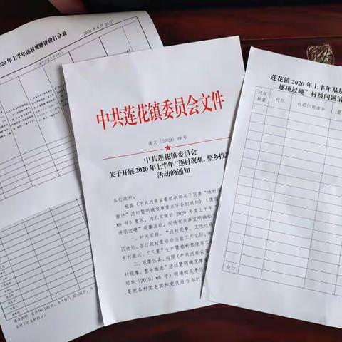 党建引领谱新篇——莲花镇2020年上半年“逐村观摩、逐项过硬”活动回顾