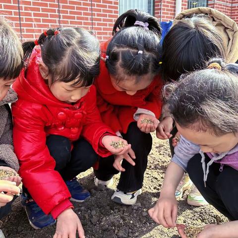 走进种植园 拥抱大自然——囊谦县萨玛那幼儿园水仙中二班