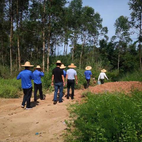 常抓不懈，打击人工非法采砂