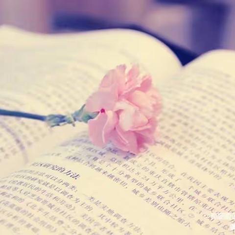 “花花”读书汇，聆听爱的声音--高陵二幼四季阳光园区读书月主题活动