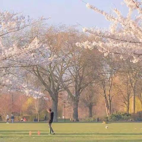 海口市琼山中学高中部数学组3月第一次教研活动——学期工作计划安排