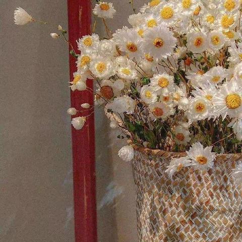 2021-2022学年度第一学期高一数学11月份第一次备课组教研活动