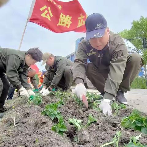 【能力作风建设年】公路站党员干部职工齐上阵绿化美化公路环境