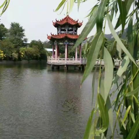 曹范街道精准扶贫“金钥匙”打开脱贫致富门