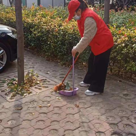 人居环境，巾帼在行动__河湾社区妇联参与人居环境整治行动