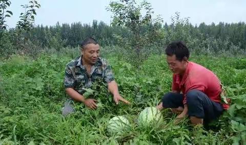 西工区扶贫“爱心西瓜”认购倡议书