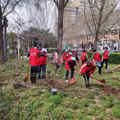 【西工区城管局】精心扮靓城市环境 喜迎全国八方来宾