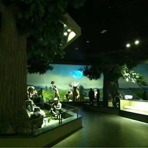 聆听窗外的声音