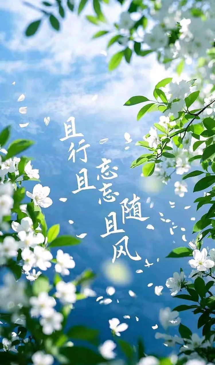 【散文】且行且忘且随风