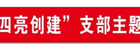 西冲村“四亮创建”支部主题党日活动