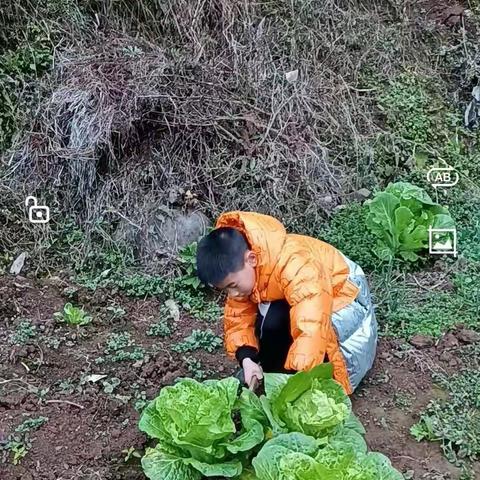 大手拉小手，同建文明家风! 小手拉大手，共建文明城市！记硒都民族实验小学101班吴祎喆寒假社会实践