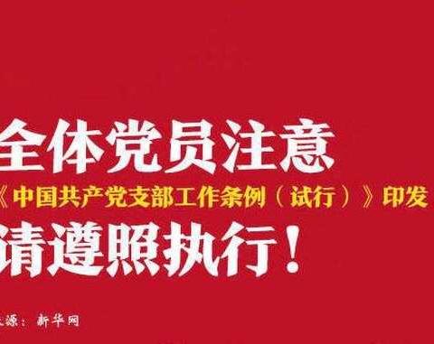 中纪委“三个从严”全面解读新支部工作条例