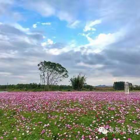 温馨的回忆