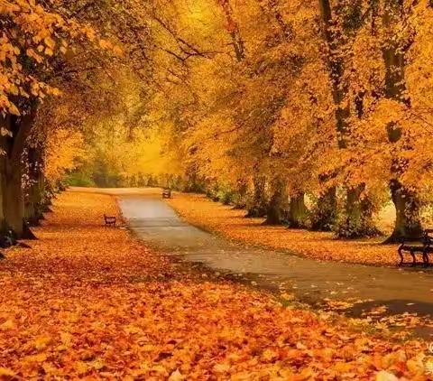 预防感冒，从我做起—-妙峰山民族学校附属幼儿园     中二班