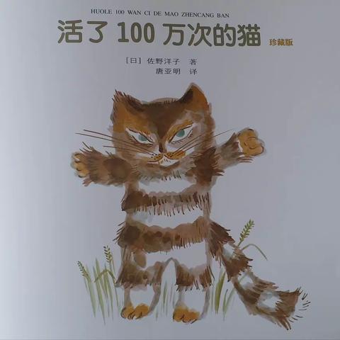 活了100万次的猫