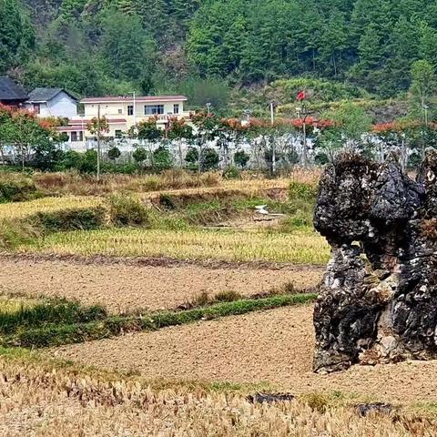 县商务局开展进村入户 走访了解“村情民意”助力乡村振兴发展
