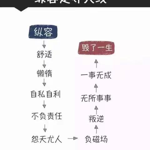 8/19 收藏的鸡汤分享