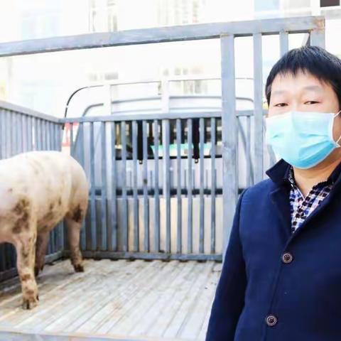 红岩：村民朱平云为防疫一线捐赠爱心猪肉