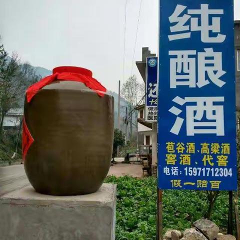 品味酒糟猪肉，享受健康生活