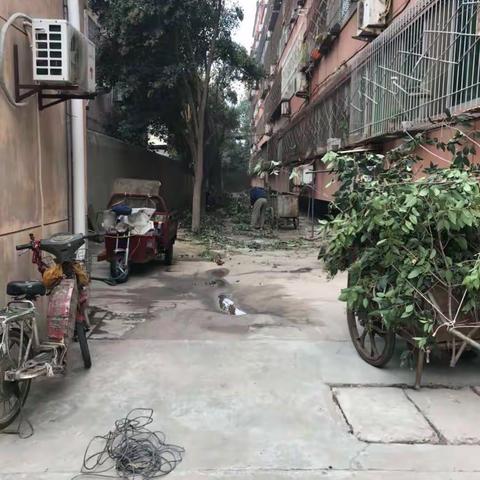 荆塬社区开展环境卫生日巡查