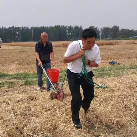 三夏时节，驻村工作队的忙碌身影