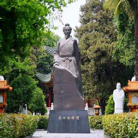 杨氏中医药世家