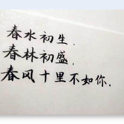 十里春风，不如你                                                  ——记桃花园居民感谢抗疫工作者们