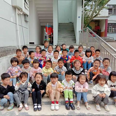 花儿争奇斗艳🌺