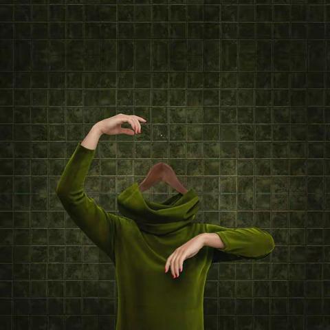 艾格妮丝卡·巴斯科(波兰)作品欣赏