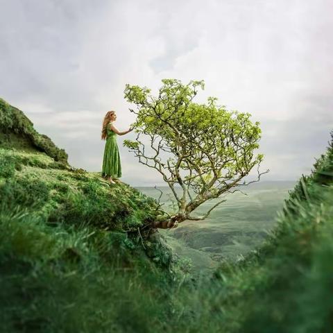 Lizzy Gadd 作品欣赏